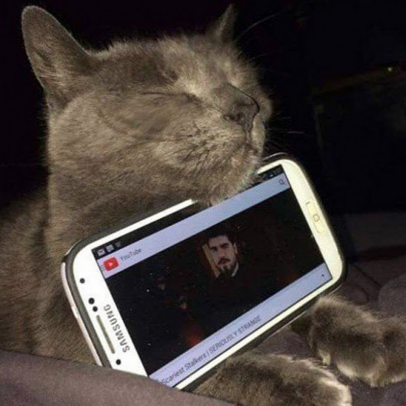 Best Smartphone