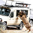 E_XvQ1kr8ck-channel-avatar-Afrikan Wildlife Safaris