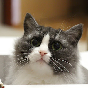 UCf7zKgWusqTp_g1dI9Iy75A YouTube channel image