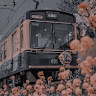 Автор