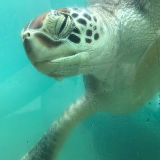 チャンネル画像