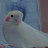 @لمارلمار-ط2ذ