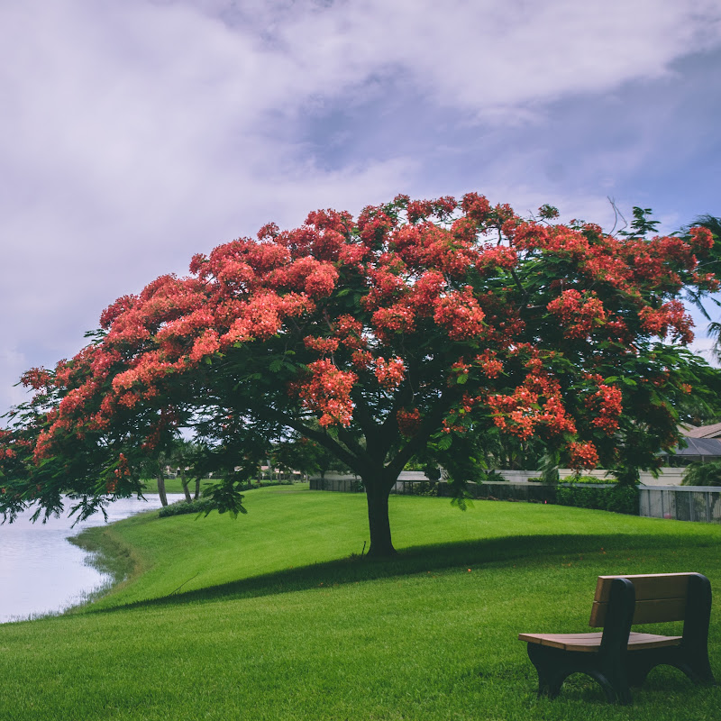 Energetic Soul Healing