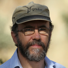 Mauricio Anton