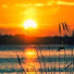R-XInb18MUQ-channel-avatar-neweverymorning Mercy