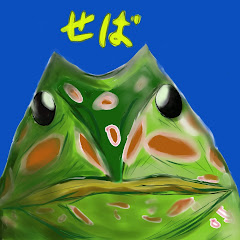 せばすちゃん