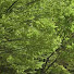 zbSSai6YwCE-channel-avatar-whreimgon