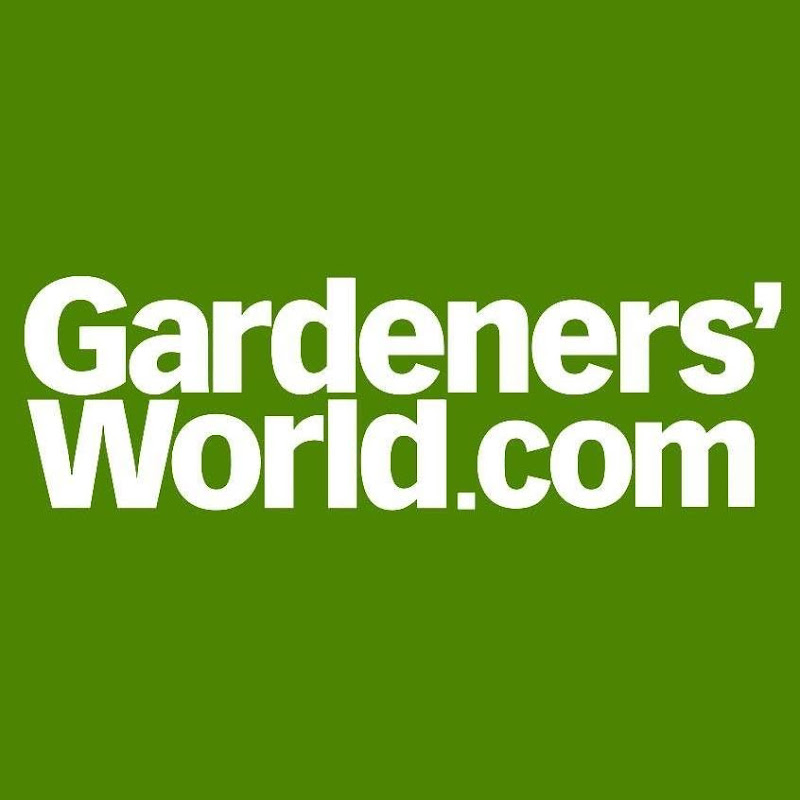 Exclusive travel and events