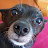 @user-uk3pc1lf5y