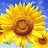 @ابواحمد-ث3غ4ع