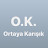 Ortaya Karışık