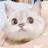 @user-rp6uq4cs9q