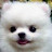 @yaonghaeba867