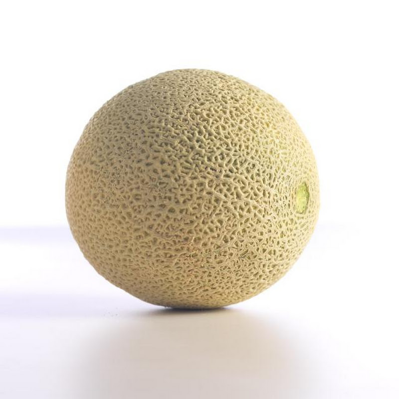 Melon icon