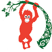 Sintang Orangutan Center (SOC)