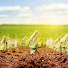 9U-awA4CkkY-channel-avatar-Agribusiness With Wadzanai Manyore