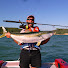 bp1BiKutyXw-channel-avatar-Fish & Hunt To The End Of The Earth NZ