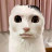@샌즈-s1z