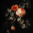 @noormonem3459