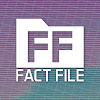 What could FactFile buy with $207.2 thousand?