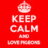 uQ5CrJKXfdk-channel-avatar-The Crazy Pigeon Lady