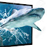 tizUv6b4Qyk-channel-avatar-videohai02