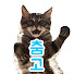 XR-_nMx1HWk-channel-avatar-춤추는고양이 (Dancing Cat)