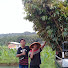 yaOyVlgZl1I-channel-avatar-Amin Bibit Durian