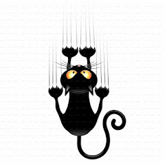 Логотип каналу Funny Cats Life
