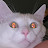 @phillm156 Avatar