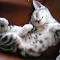 Snufkin335