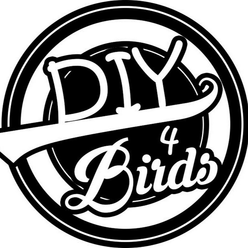 DIY For Birds