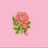 YYdJEhd8aFY-channel-avatar-Rosa Artes crochê