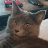 owJI6dzXYOg-channel-avatar-Darksolas3