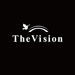 The Vision net worth