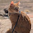 @taylorjohnson7577 Avatar