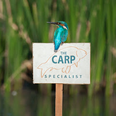 The Carp Specialist Avatar