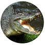 Crocodile Life Hack logo