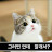 @냥냐이-s8y