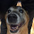 @korywalsh's avatar