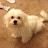 @cincy3662's avatar