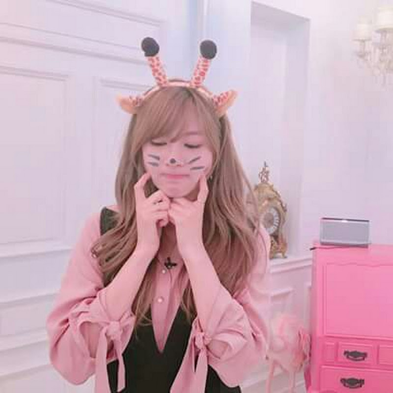 ApinkCtzen