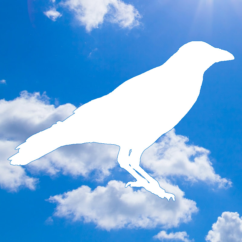 Curious Crow Productions