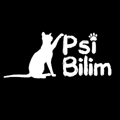 Psi Bilim