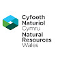 Natural Resources Wales / Cyfoeth Naturiol Cymru logo