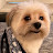 @mookiescandlecorner6064's avatar