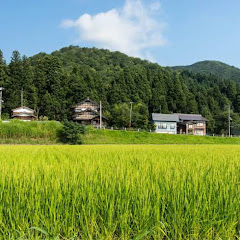 リクt