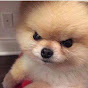 FCam Image Thumbnail