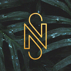 Nicole State net worth