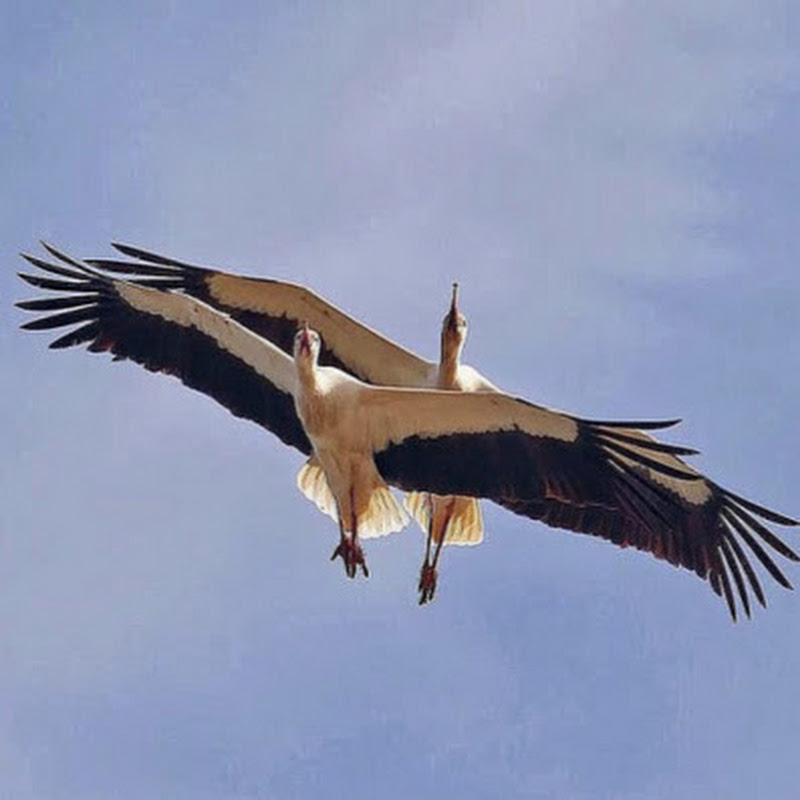 Ответы на все вопросы Logo